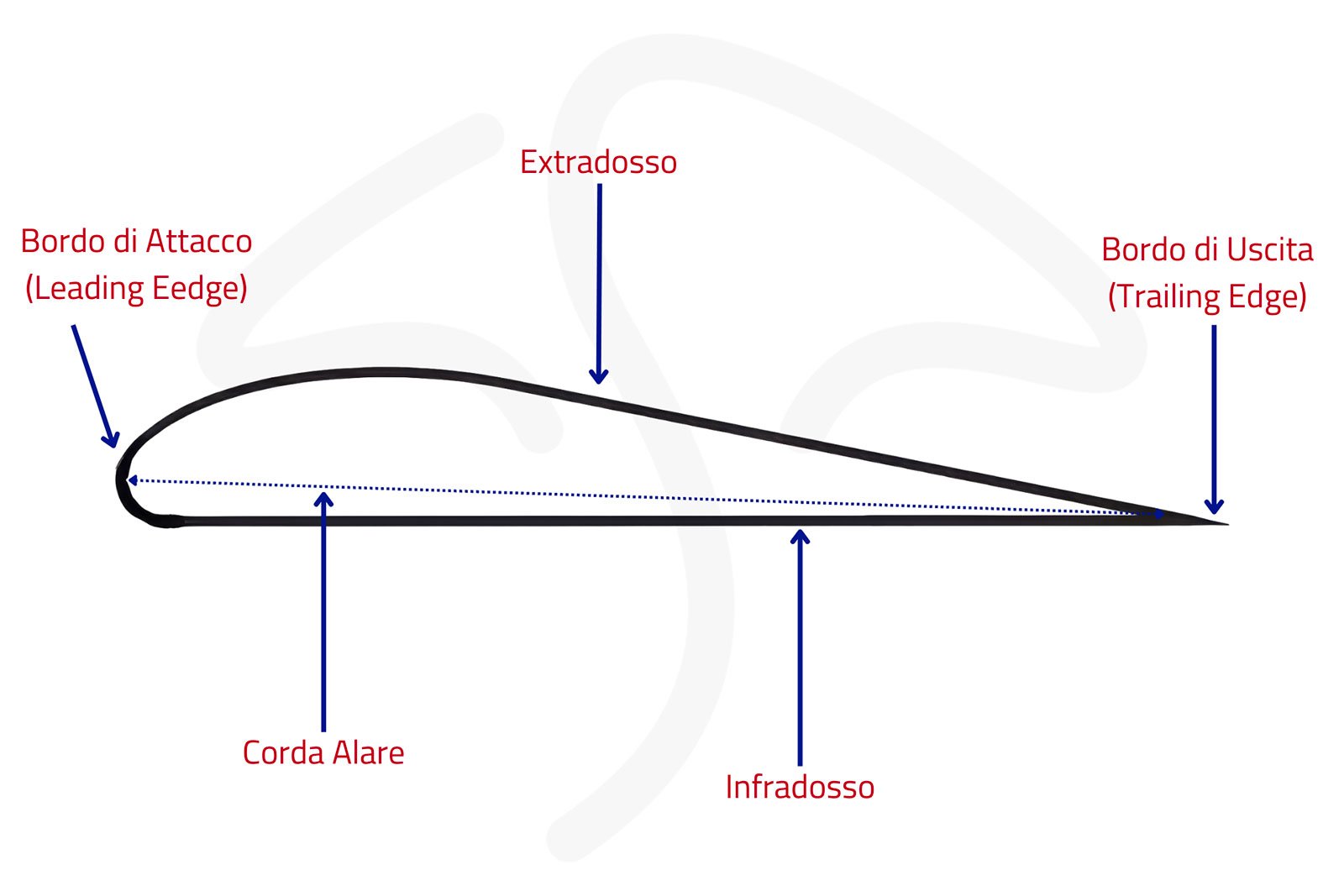 Profilo Aerodinamico kitesurf