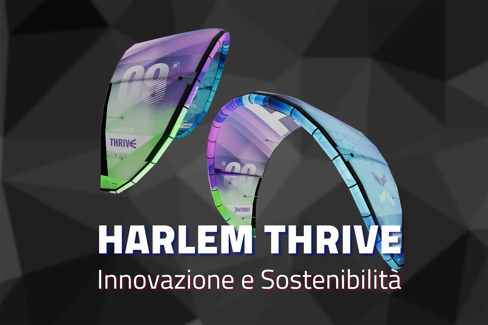 Harlem Thrive Kite