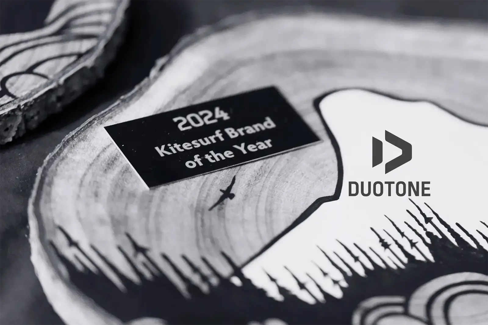 Duotone vincitore AWSI 2024