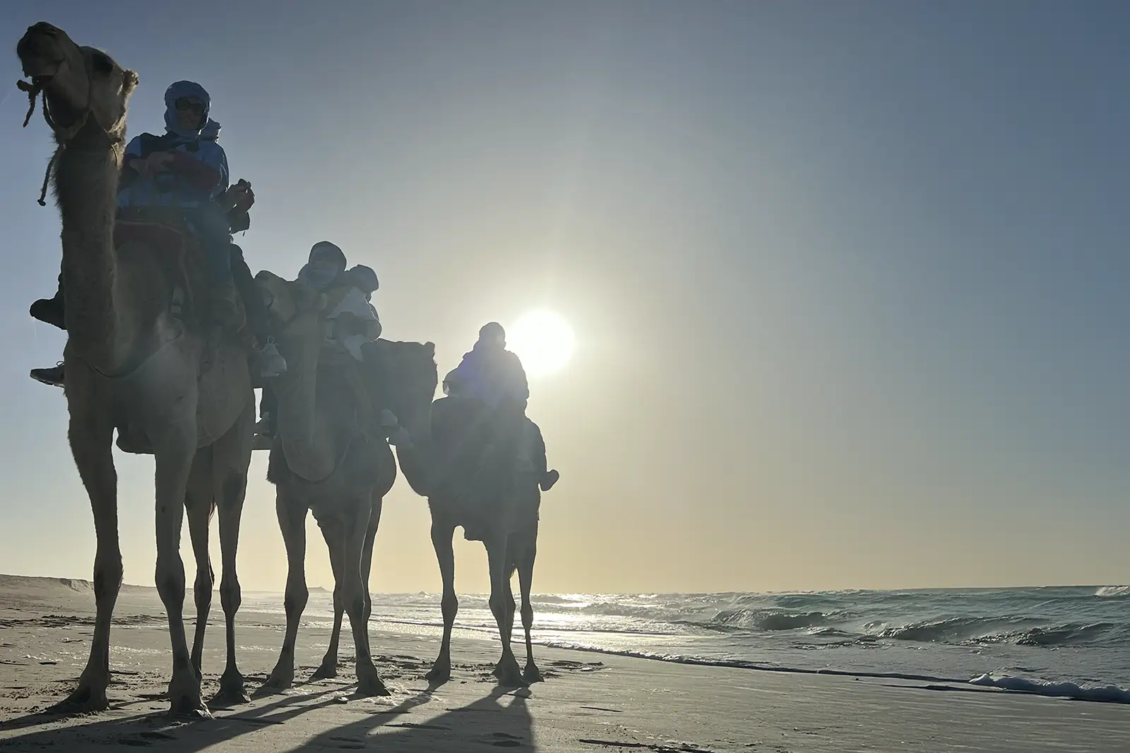 Escursioni kite camp Dakhla