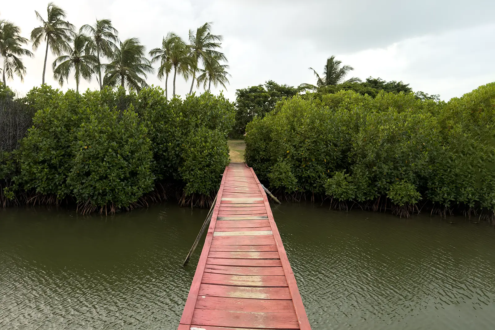Pontile rosso tra le mangrovie della laguna di Kalpitiya in Sri Lanka, all'interno di un villaggio dedicato al kitesurf
